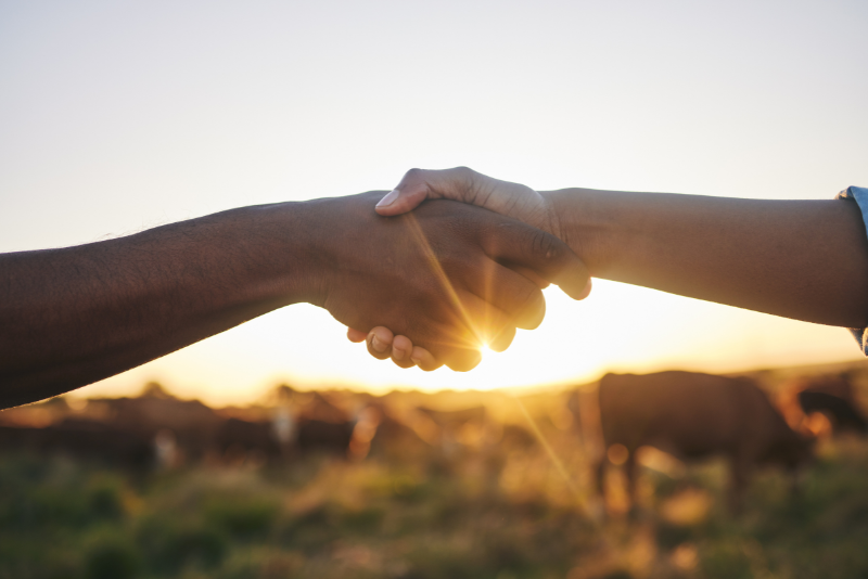 Como se tornar um parceiro da Irrigat e aumentar seus rendimentos no agronegócio