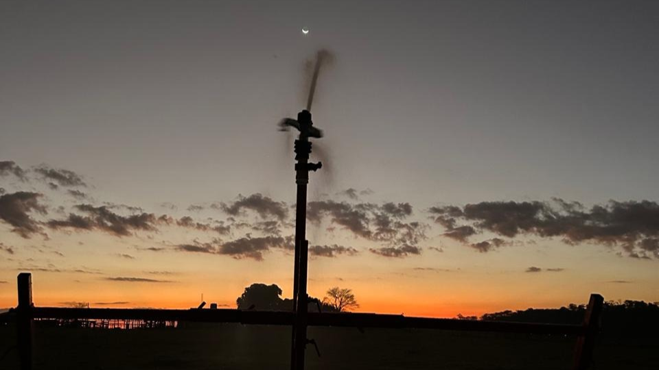 irrigação noturna