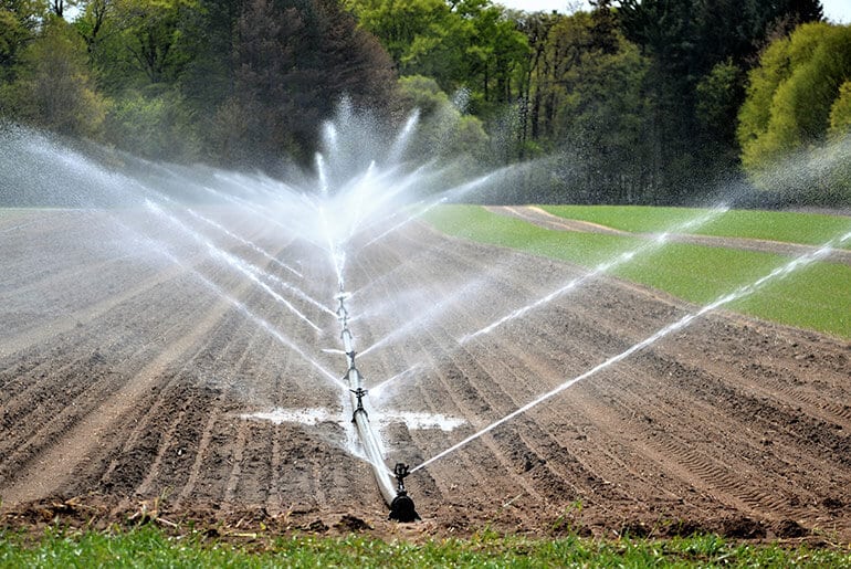 Imagem mostra a irrigação de plantações