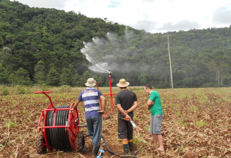 Agricultores observando o maquinário de irrigação em funcionamento, jogando água na plantação