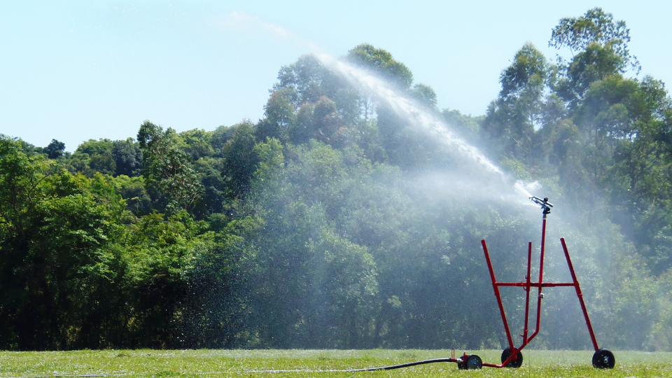 Aspersor para irrigação: quais são os melhores?