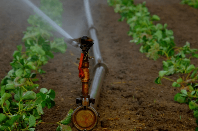 Aspersor para irrigação