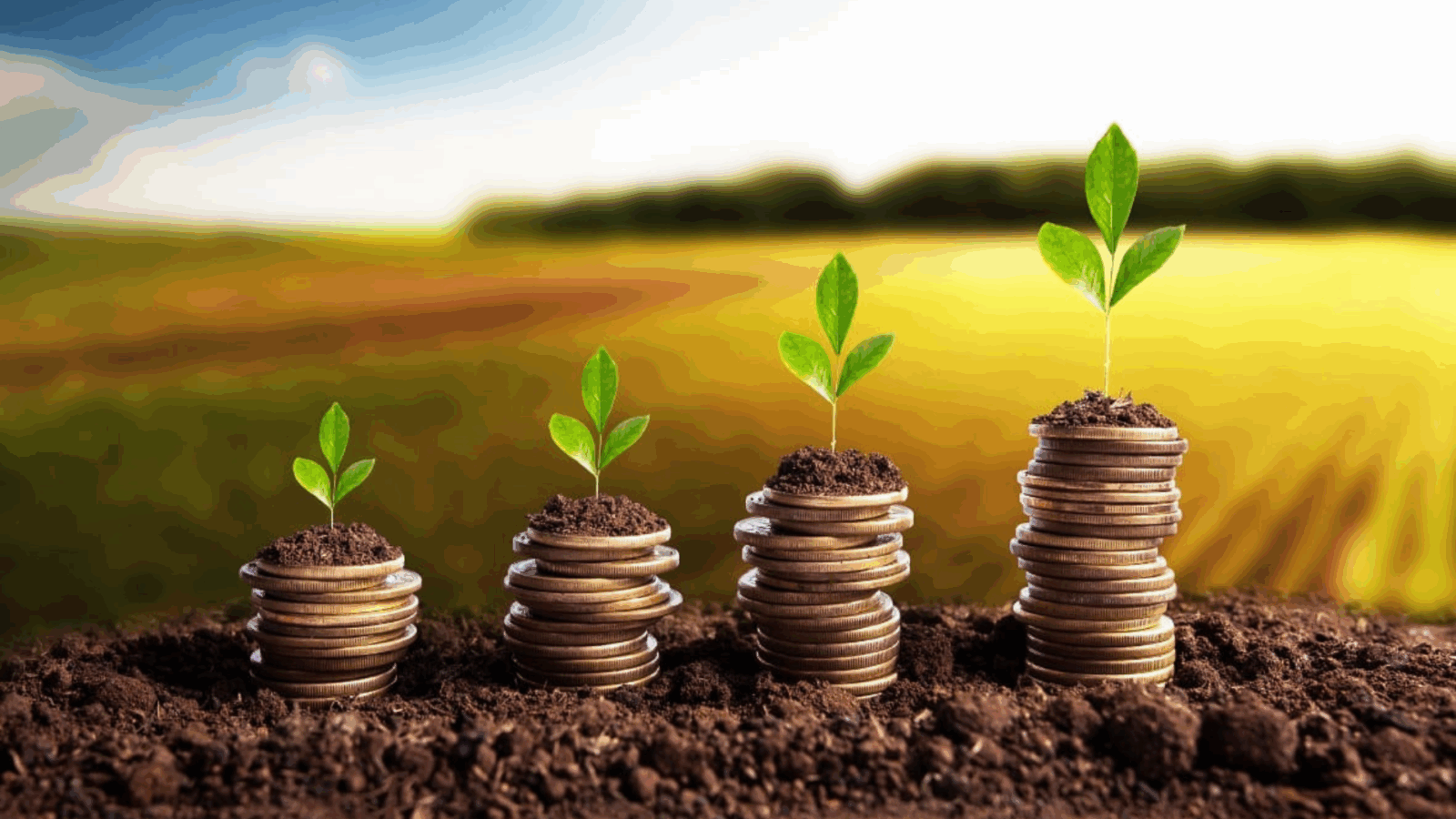 financiamentos agrícolas