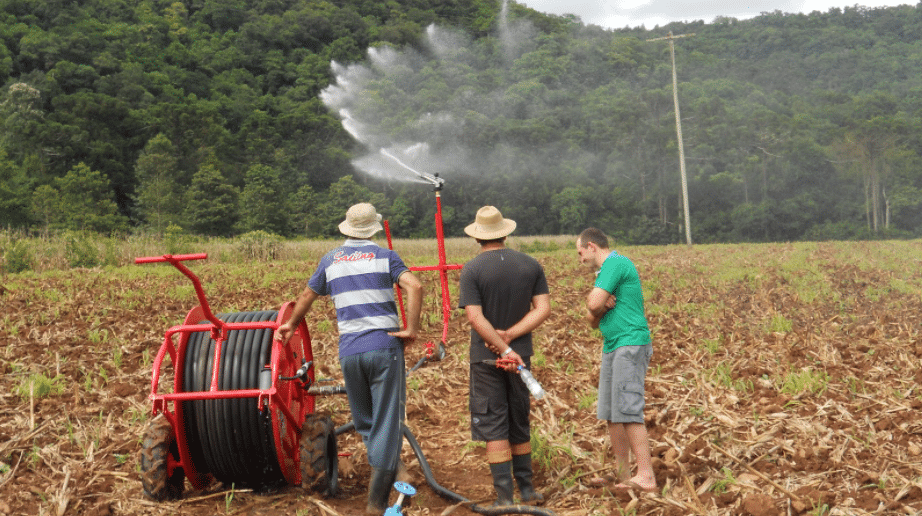 Irrigação de soja