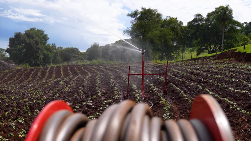 As melhores dicas para economizar água e fazer uma irrigação sustentável