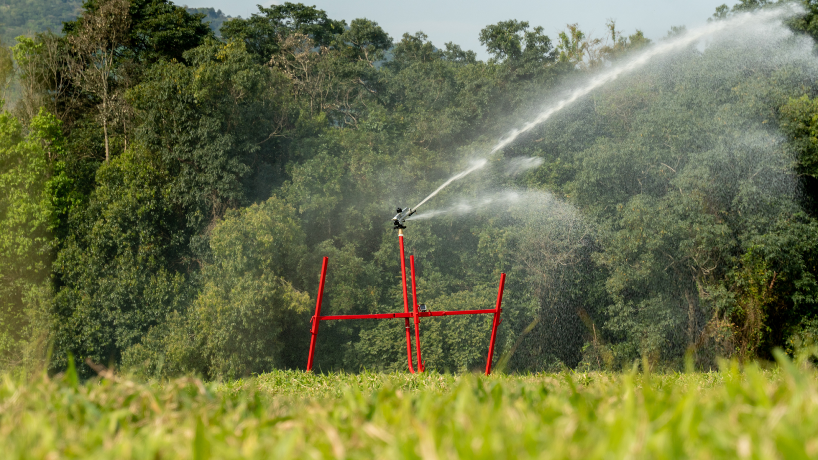 Melhor época para adotar um sistema de irrigação