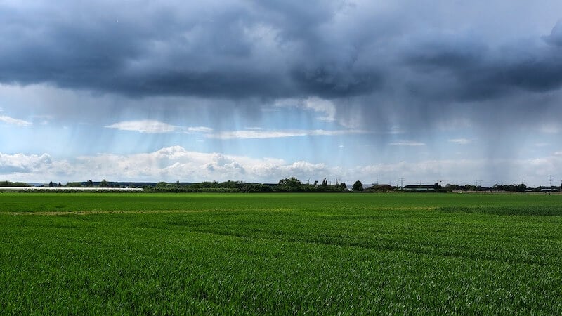 Chuva é uma das principais fontes de reúso da água na agricultura