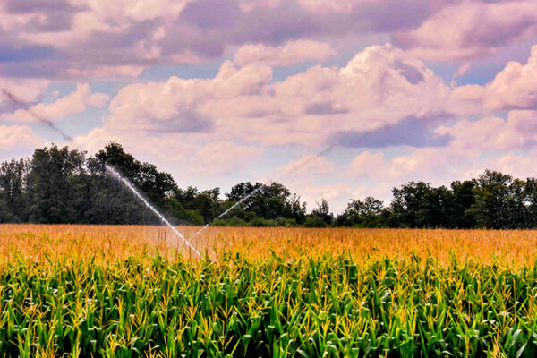 saiba como economizar água na agricultura